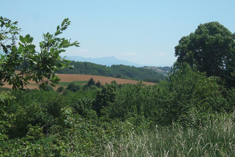 2011-05- (1023).JPG